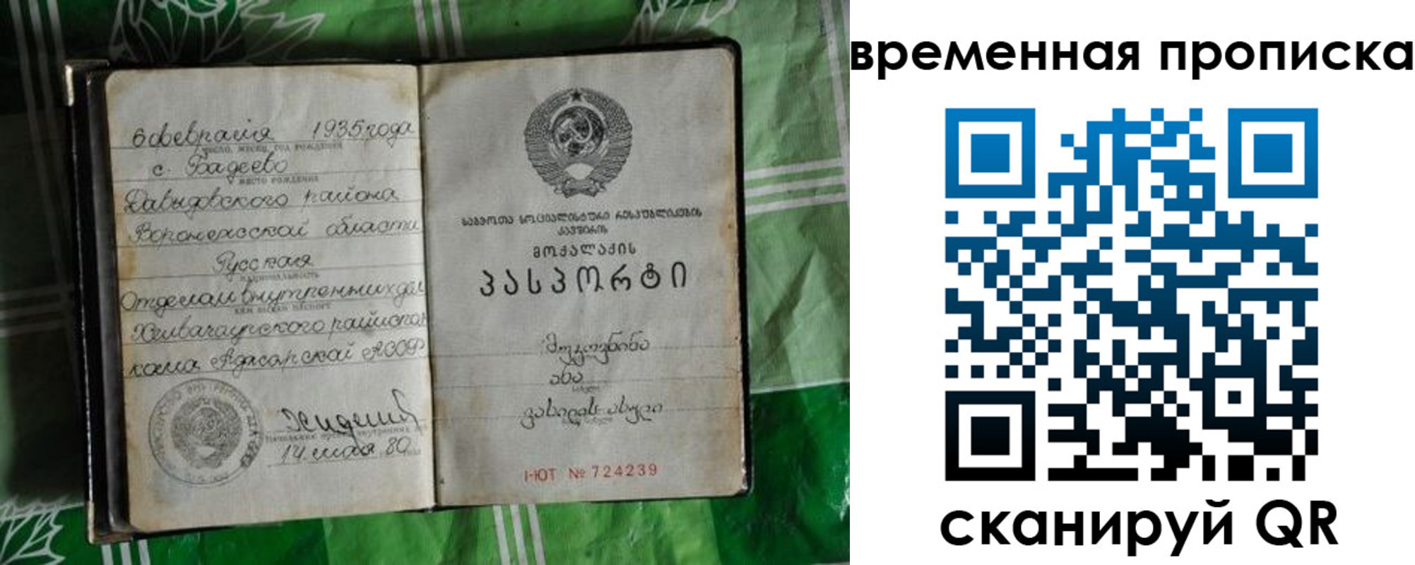 прописка в Ардоне